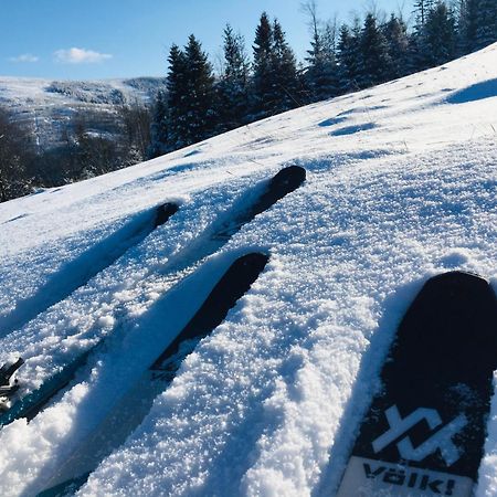 Widokowy Apartament Jodlowa Ski&Bike Szczyrk Eksteriør billede